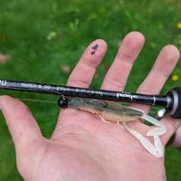 Fox Rage Ultra UV Critters